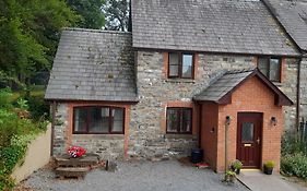 Tregib Mill Cottage